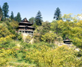 新緑の圓蔵寺