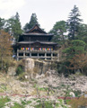 桜の圓蔵寺