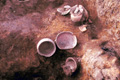 佐平林遺跡（東村）古墳時代の竪穴住居跡からみつかった土器
