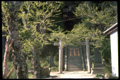 諏訪神社(参道入口)
