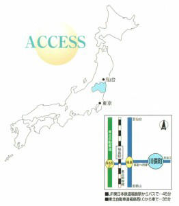 ACCESS