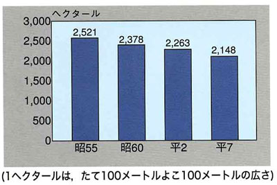 c┨̍L肩