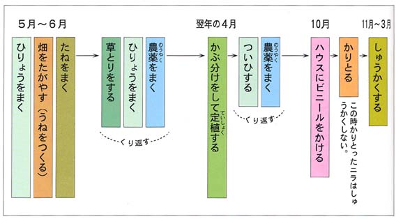 jĂ邱݁i肤j 