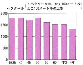 c┨̍L̂肩