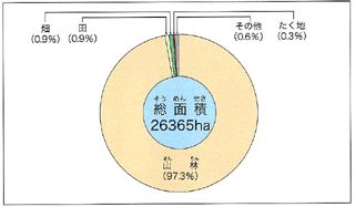 yn悤L