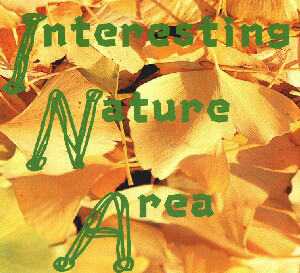 Interesting Nature Area