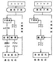 (TPNo.3)