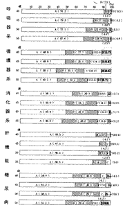 w̋敪(\3E}1)