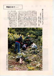 畟0093(1984N(S59)08)-003page