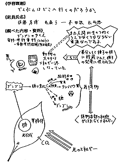 4@Ȃɂ鐶k̎ȋ͂Ɋւԑ̕ϗe