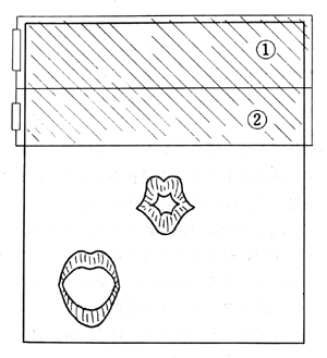 TP1-1