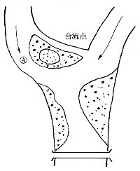 ΐ쉺̑}t߂̐쌴}