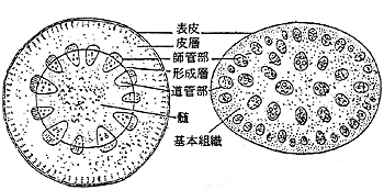 理科学習指導資料高等学校「理科2」の指導-050/139page