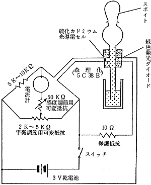 C̒f_葕u