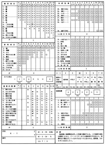 KOPPITZ@F@Human Figure Drawing Scoring Sheet@i1̍̓_j@̓_[