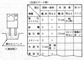 茋