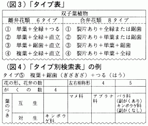 (}3)^Cv\ (}4)^Cvʌ\̗